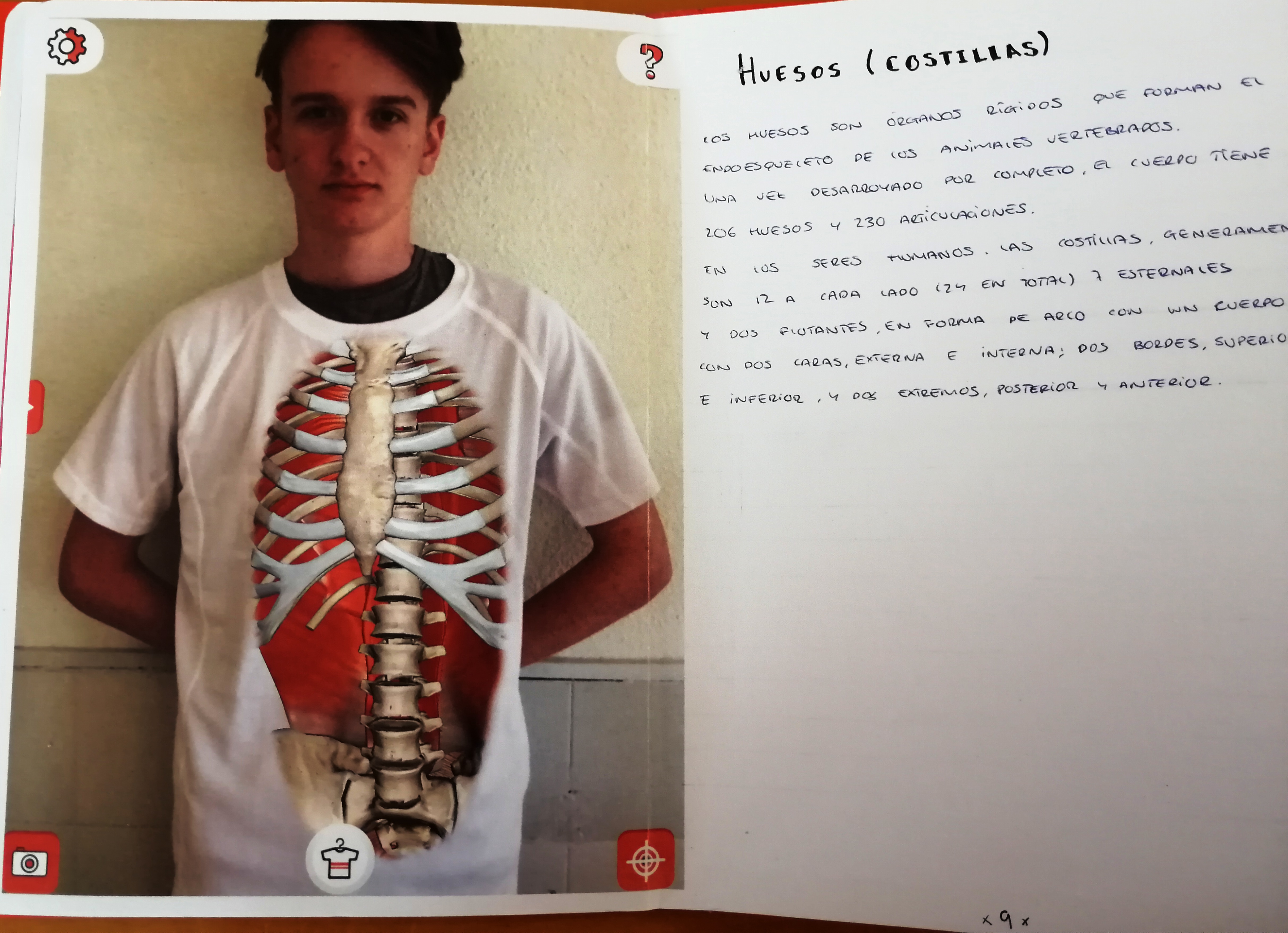 Camisetas con sorpresa. Un proyecto para trabajar la anatomía