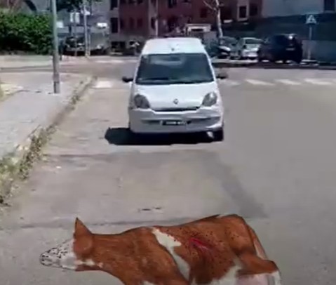 Cine marca Los Olivos